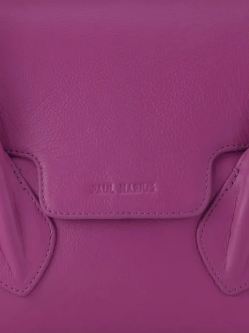 Colette S Sorbet - Cassis