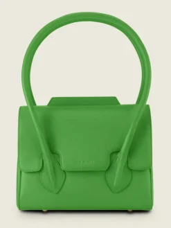 Colette S Sorbet - Kiwi