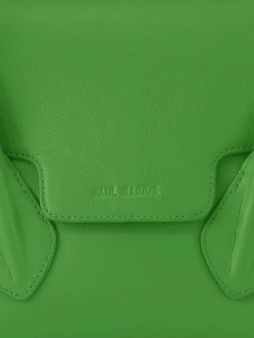 Colette S Sorbet - Kiwi