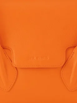 Colette S Sorbet - Mangue