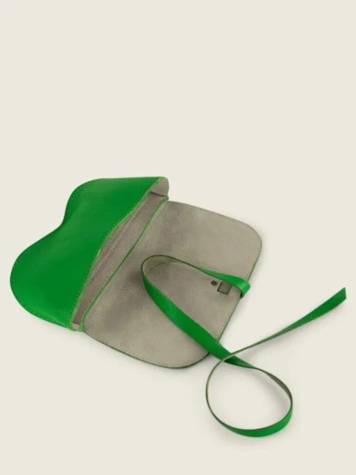 L'Étui à Lunettes Néon - Vert